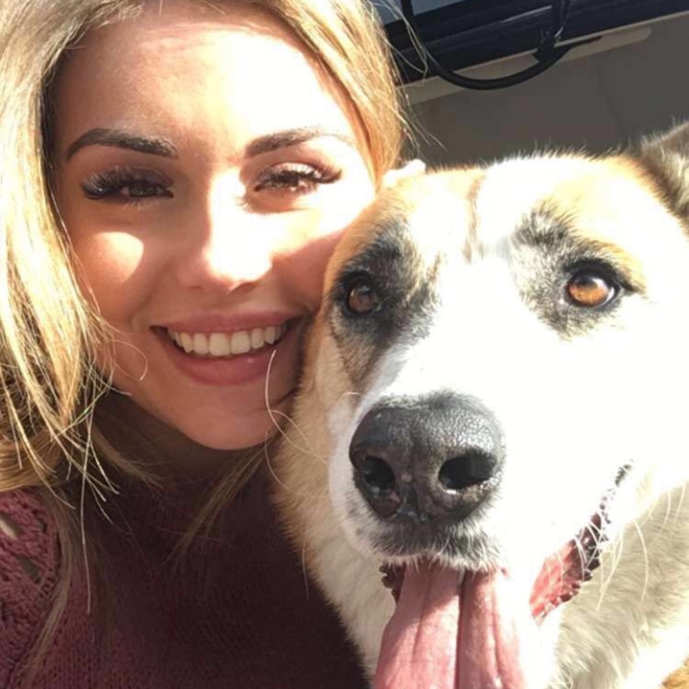 Meet your Posher, Taylor